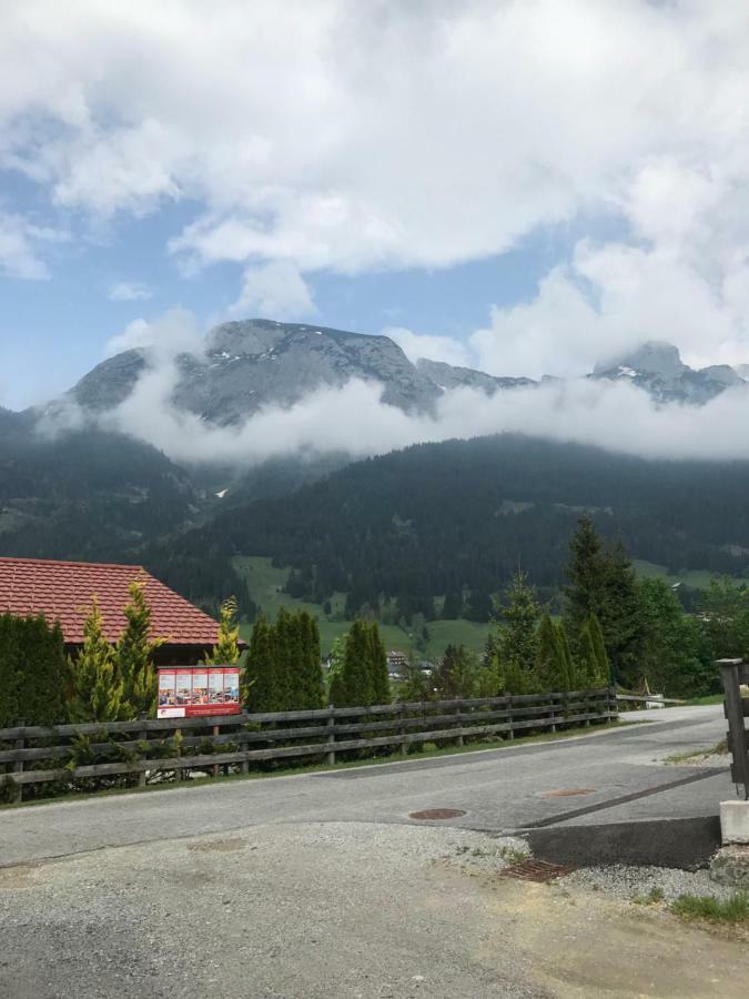 Steuer 59 App 5 Daire Annaberg im Lammertal Dış mekan fotoğraf